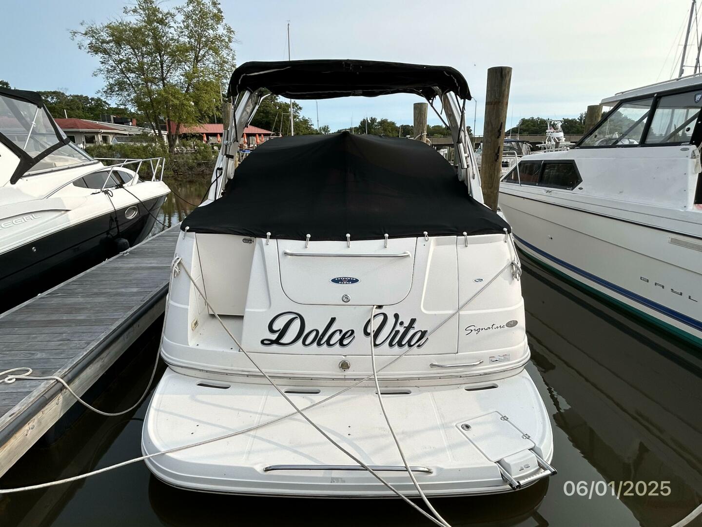 2006 Chaparral Signature 290 - Image 3