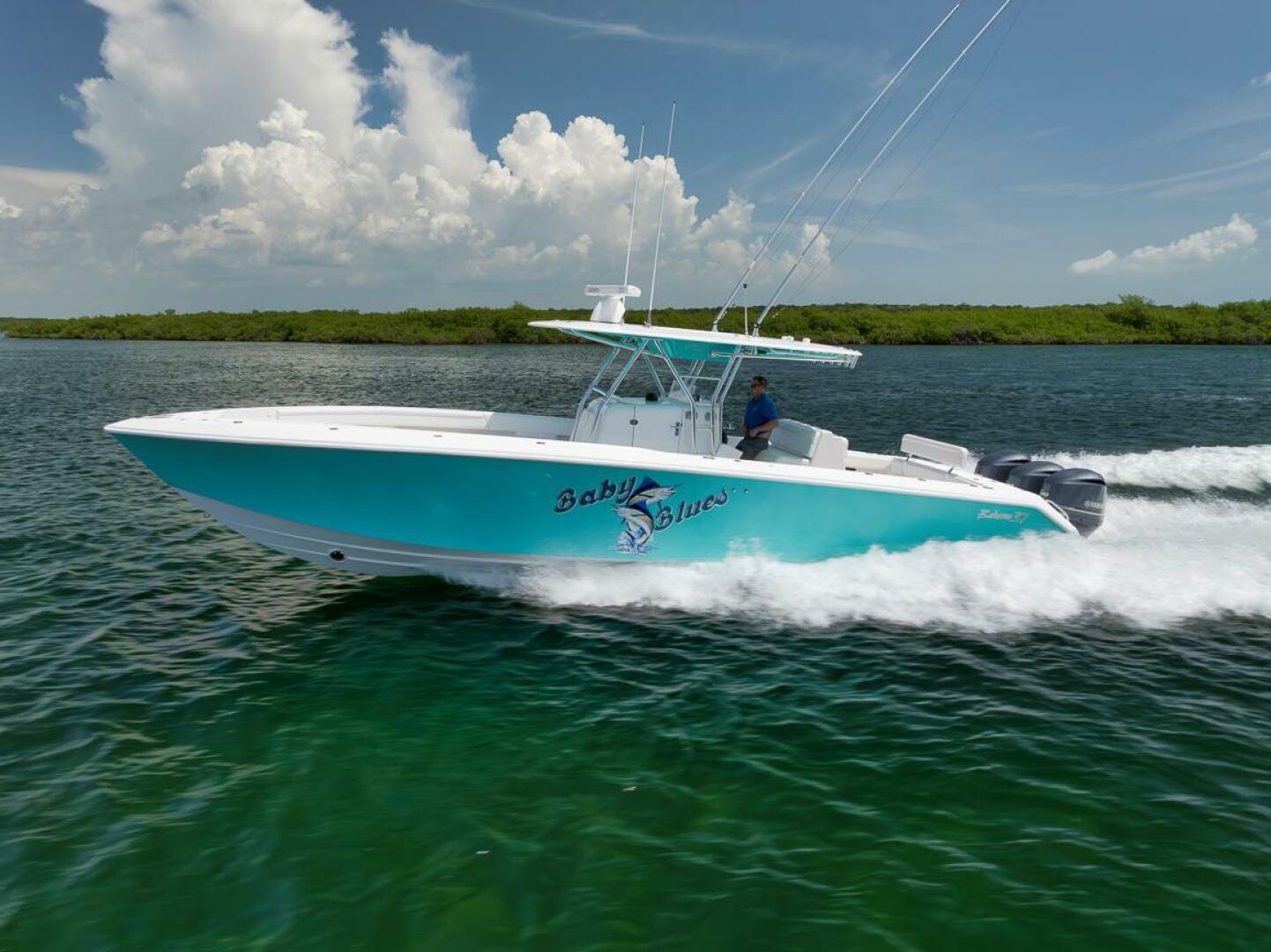 2013 Bahama - Image 3