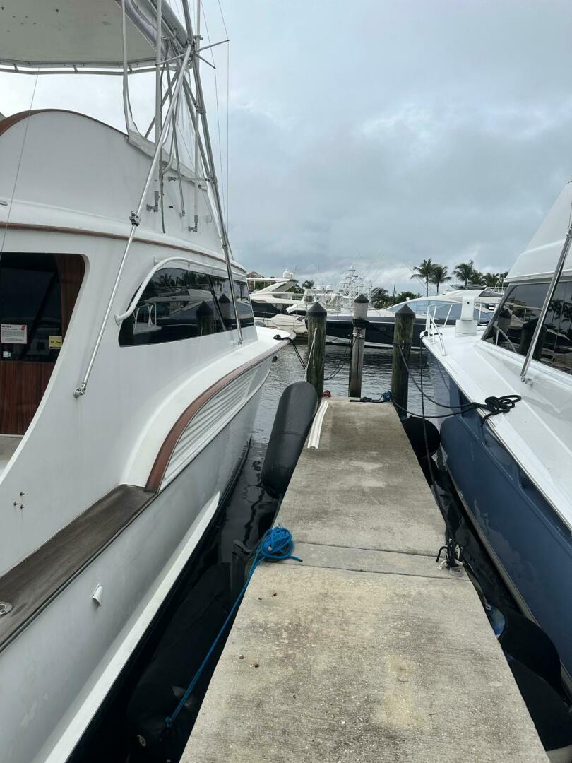2001 Buddy Davis SPORTFISH - Image 79