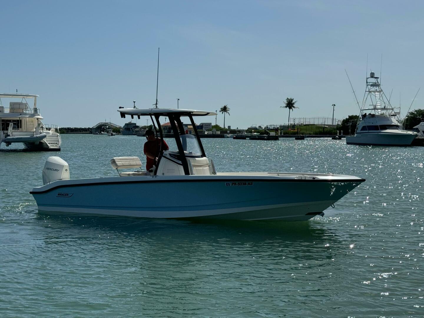2022 Boston Whaler 250 DAUNTLESS Base - Image 7