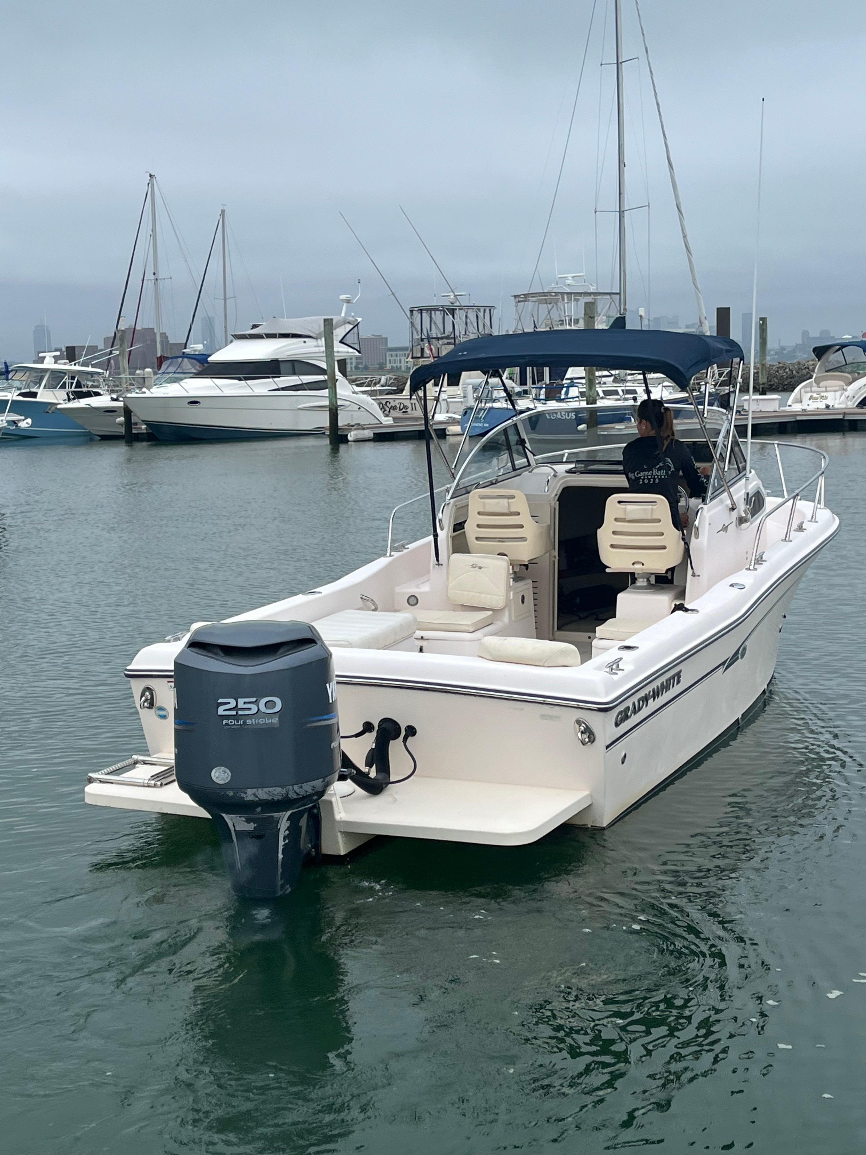 2010 Grady-White Seafarer 22 - Image 4