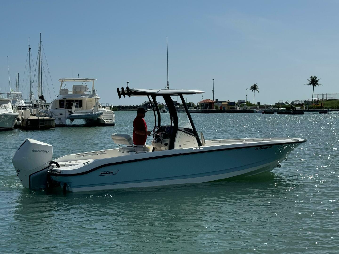 2022 Boston Whaler 250 DAUNTLESS Base - Image 5