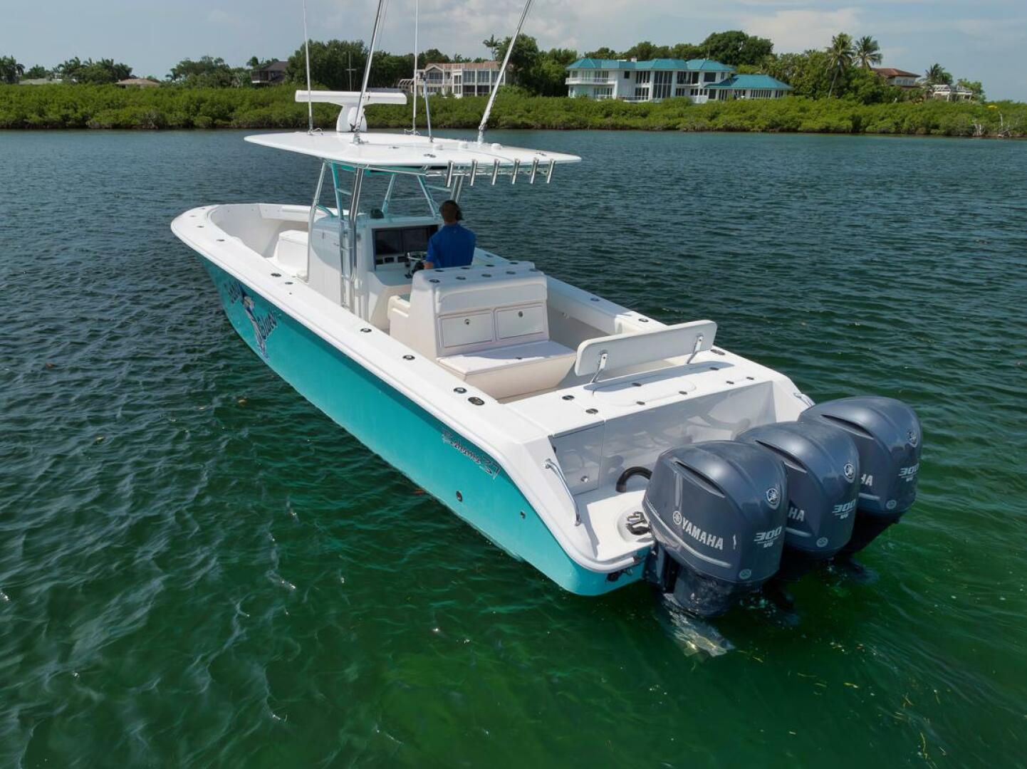2013 Bahama - Image 15