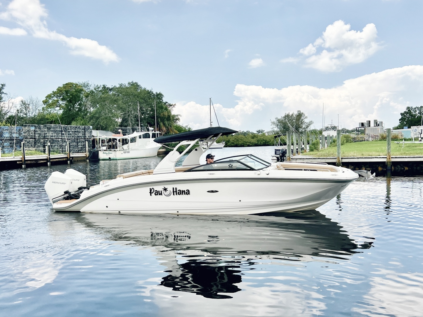 2019 Sea Ray SDX 290 OB - Image 1