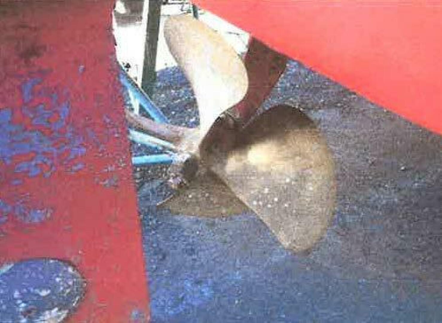 1994 Blackfin - Image 16