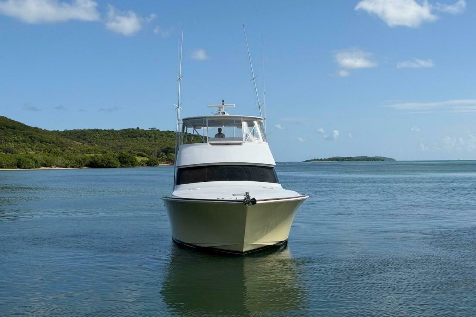 2004 Viking 56 Convertible - Image 4