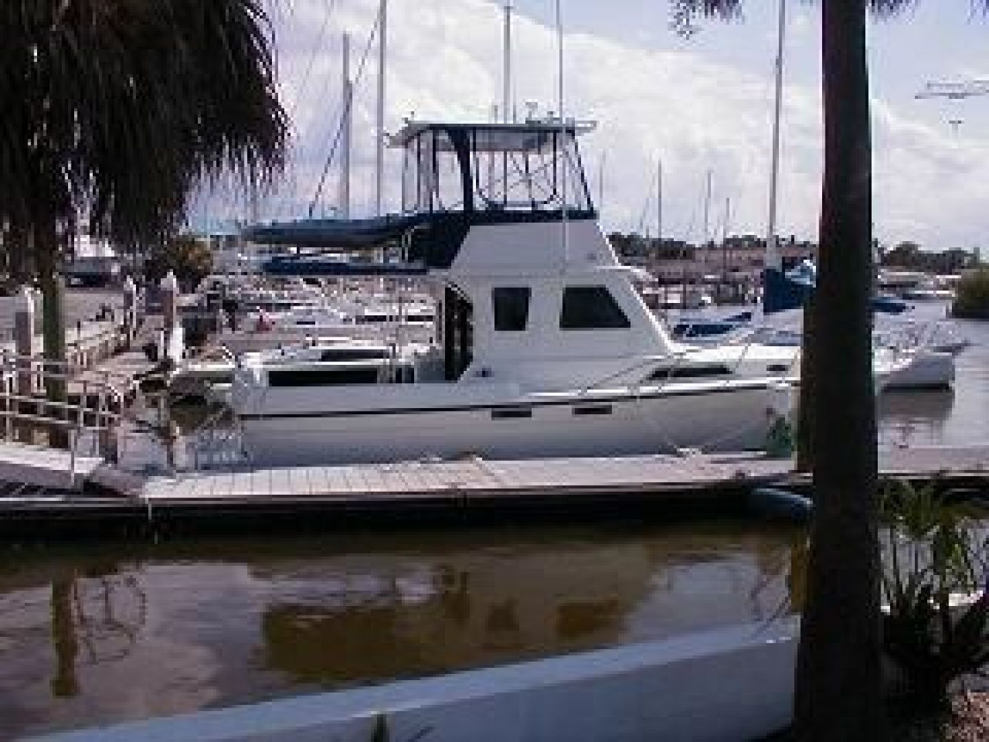 1995 Fayne Limbo Boat Corp 40 - Image 1