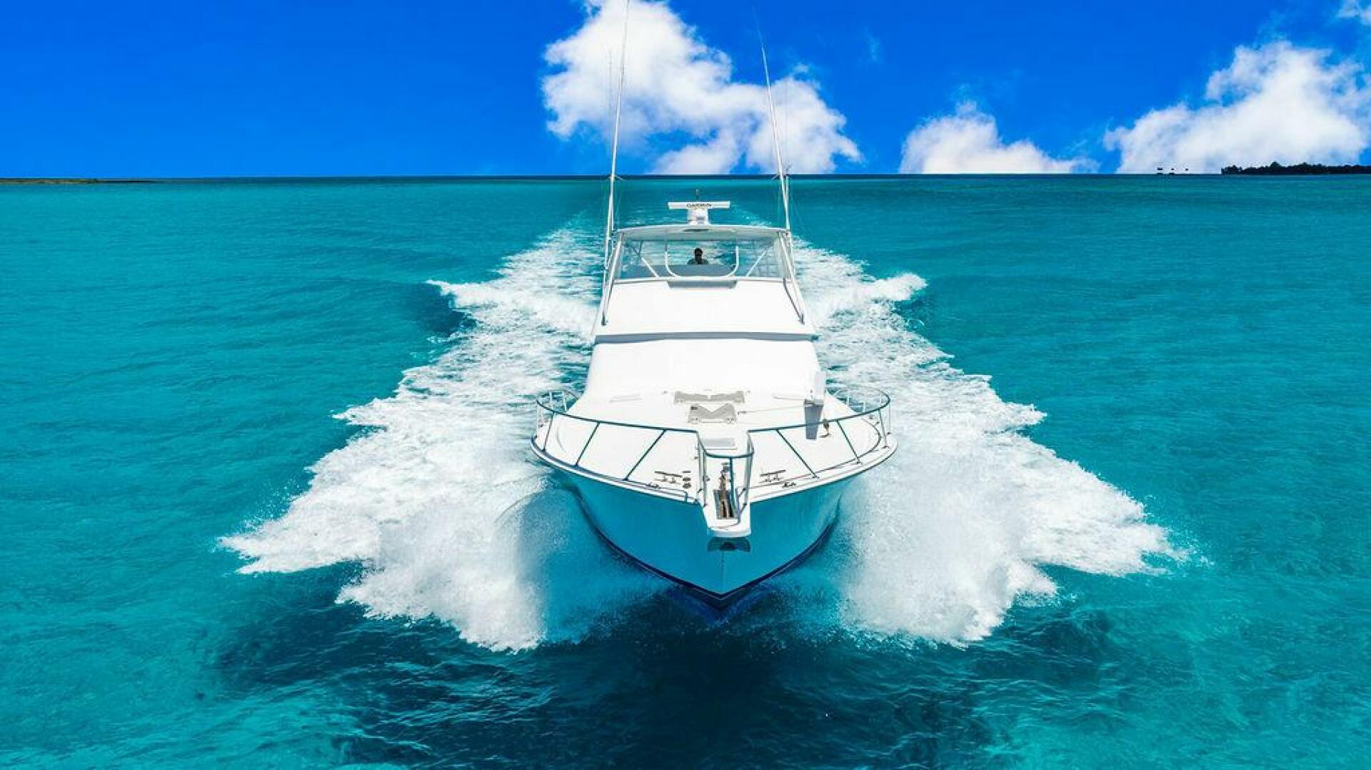 1999 Viking 55 Convertible - Image 31