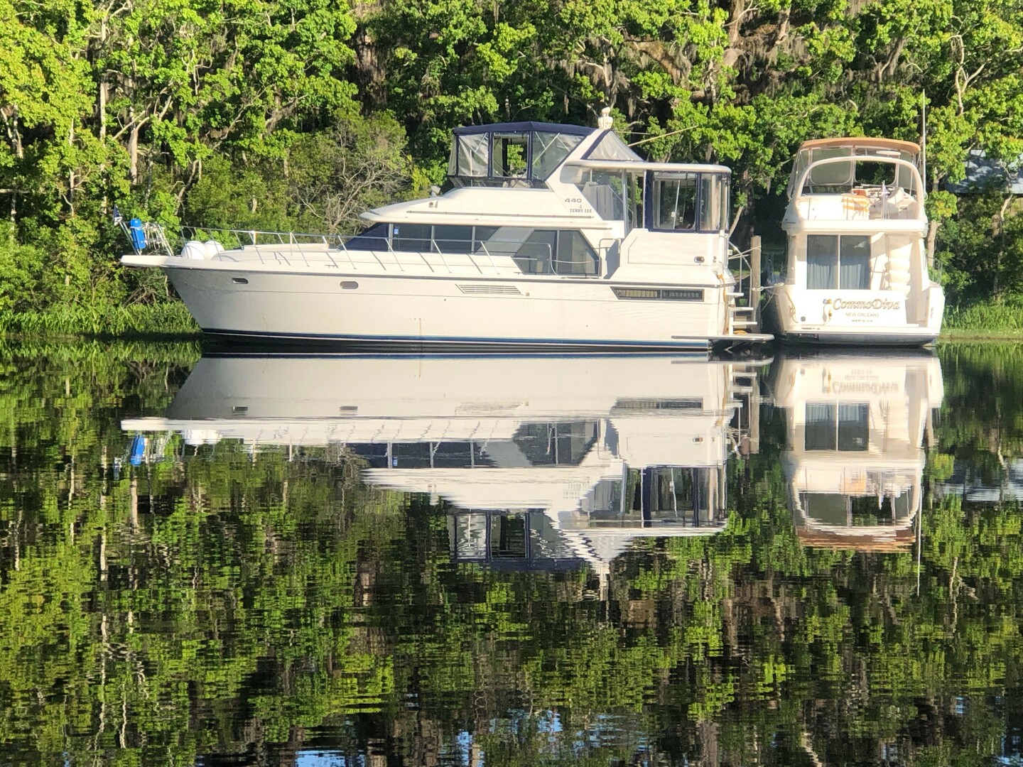 1995 Carver 440 Aft Cabin - Image 1