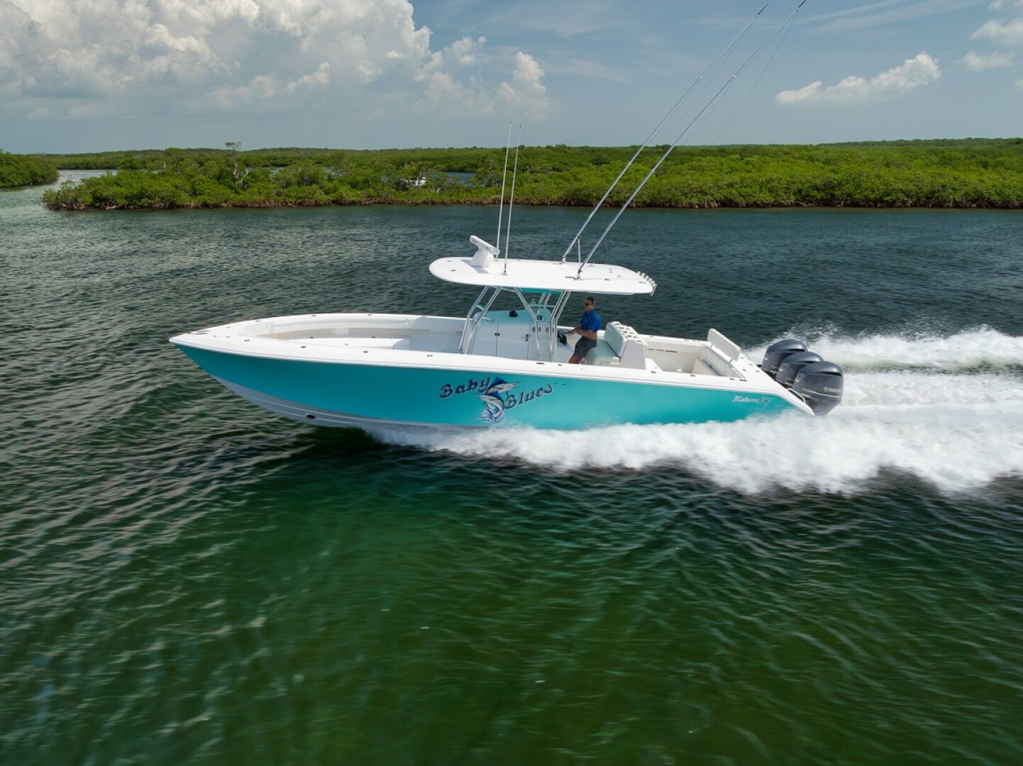 2013 Bahama - Image 1