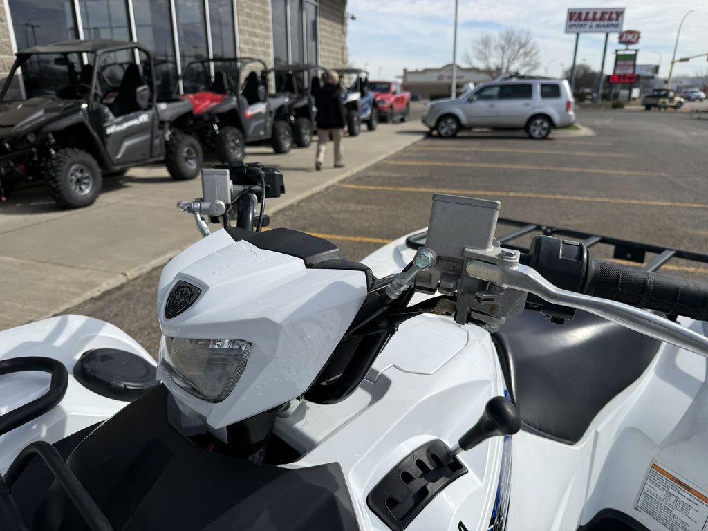 2019 Yamaha Grizzly EPS SE - Image 8