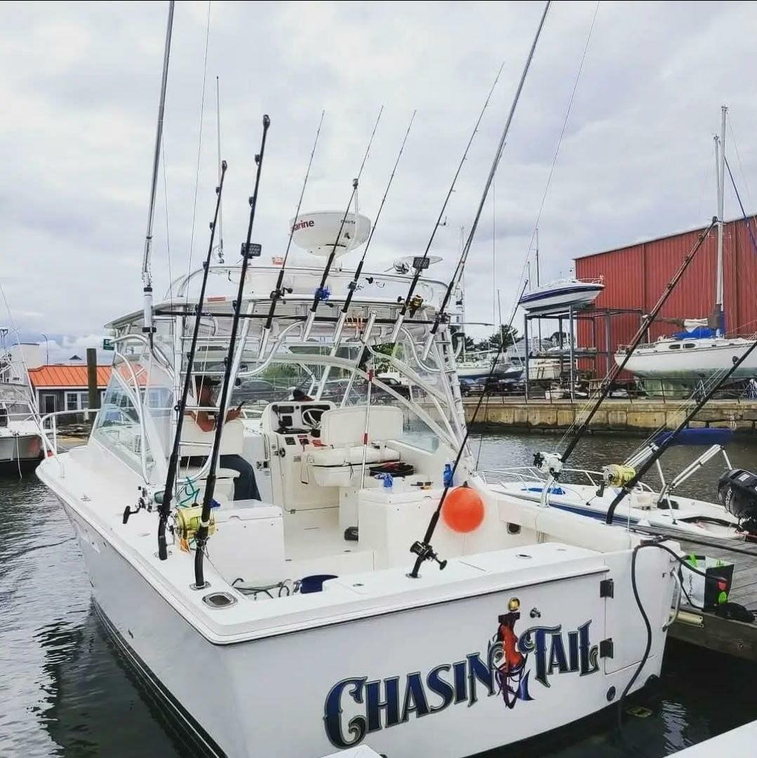 2011 Luhrs 30 Open - Image 2