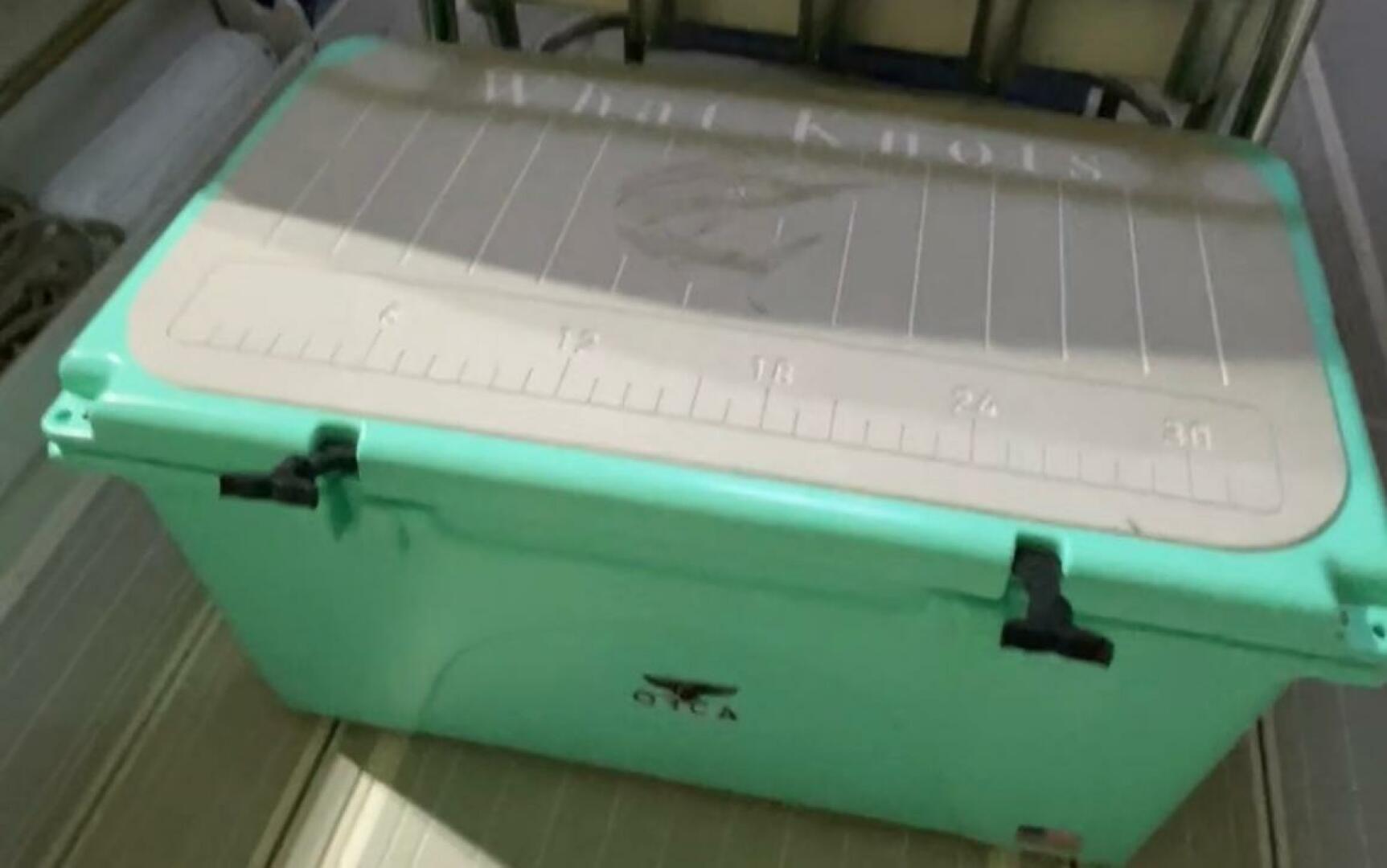 1990 Wellcraft 302 Scarab - Image 37