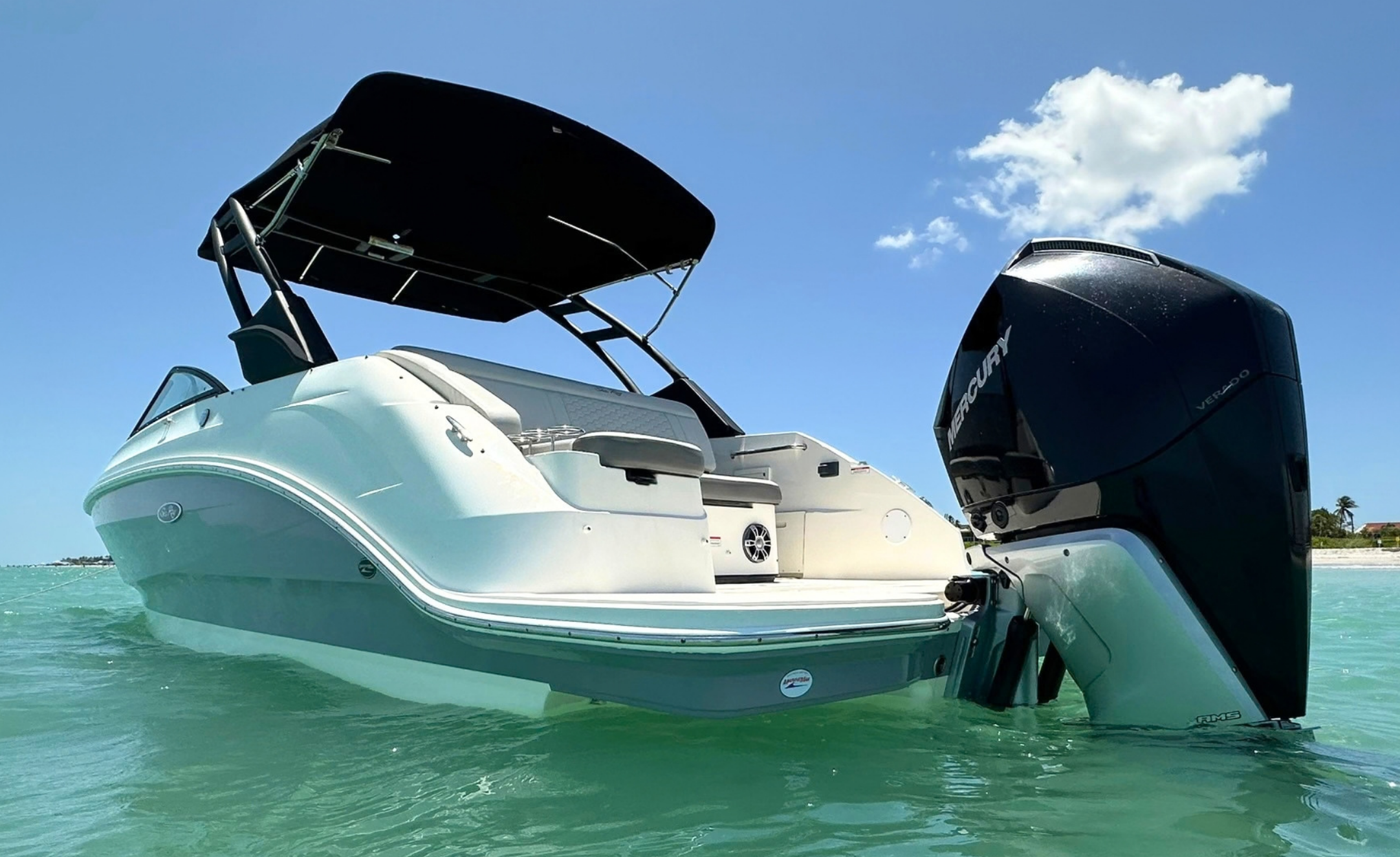 2021 SEA-RAY 250 SDX - Image 6