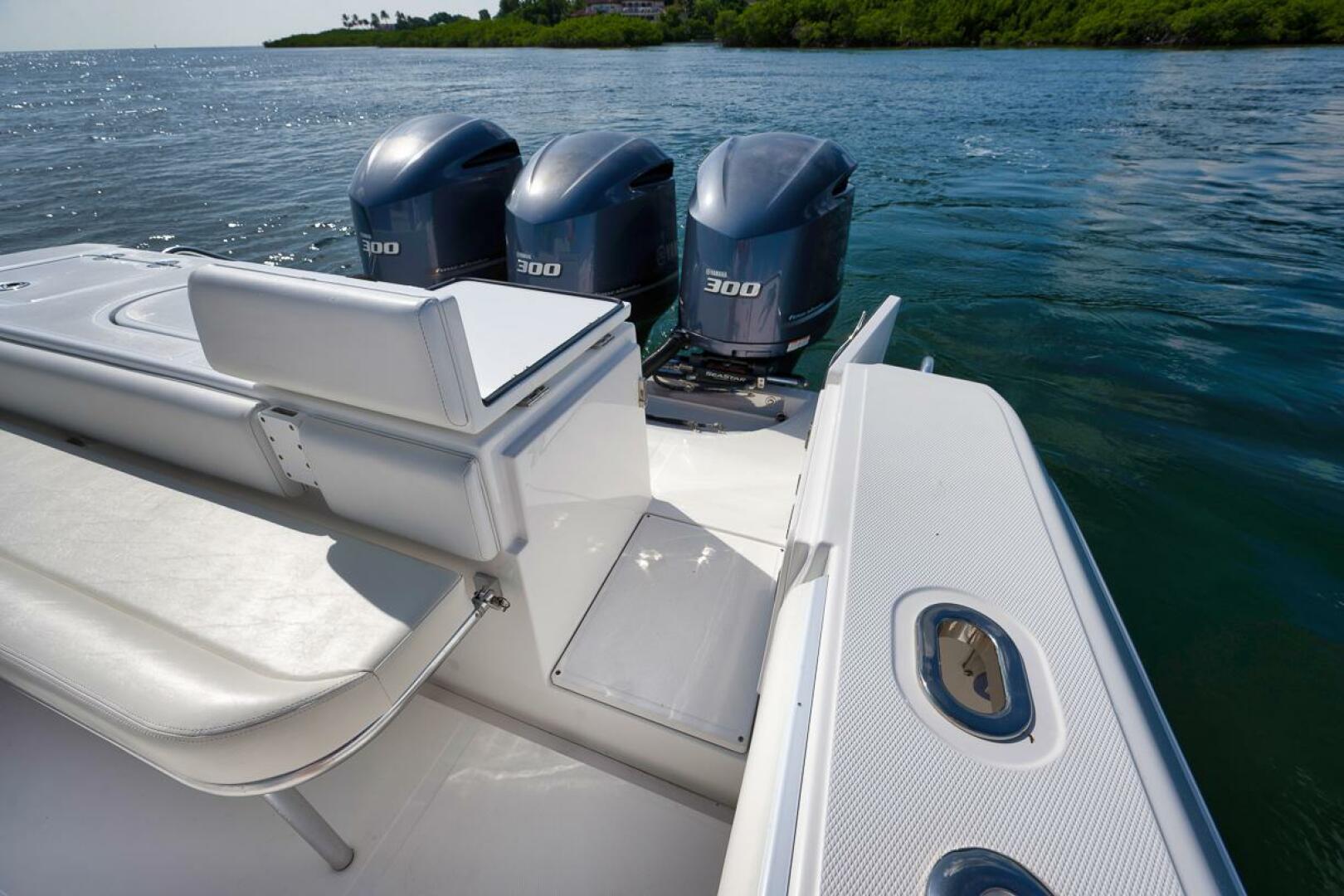 2013 Bahama - Image 67