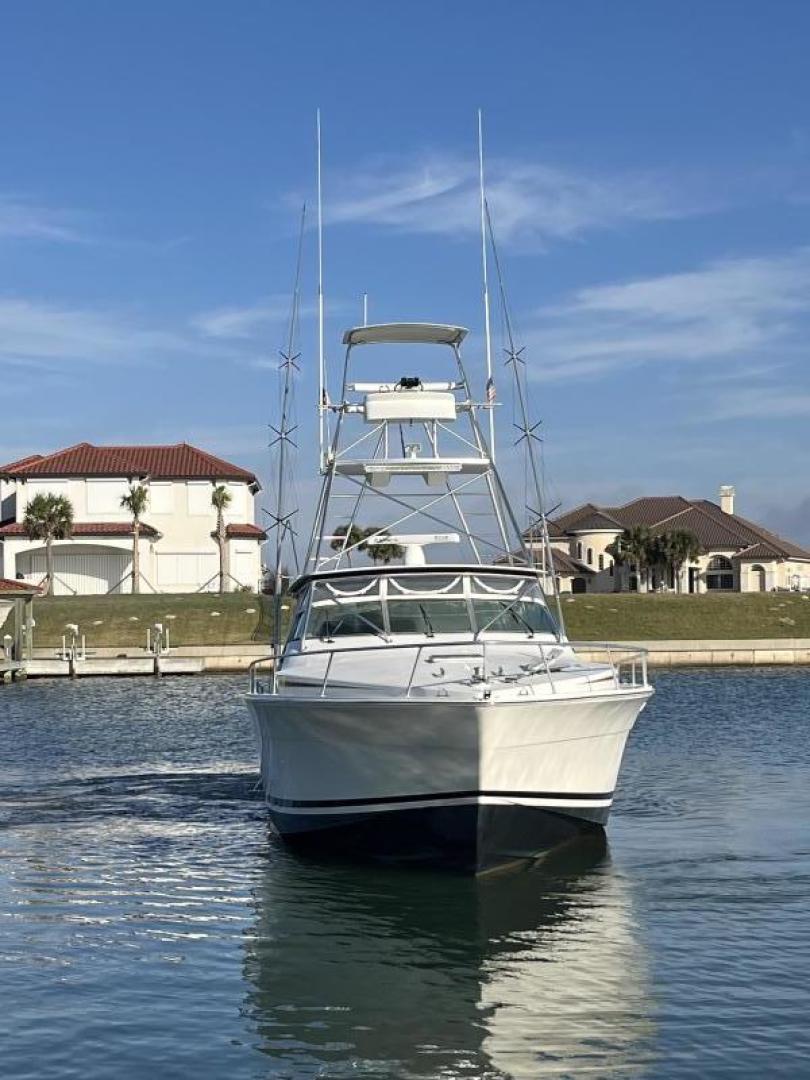 1993 Bertram 46 Moppie - Image 21