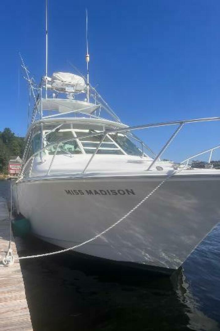 2003 Cabo Express - Image 5