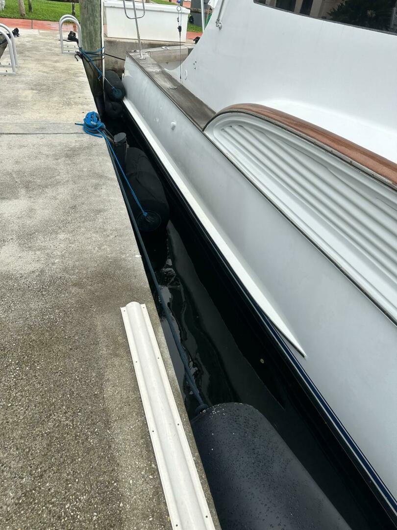 2001 Buddy Davis SPORTFISH - Image 70
