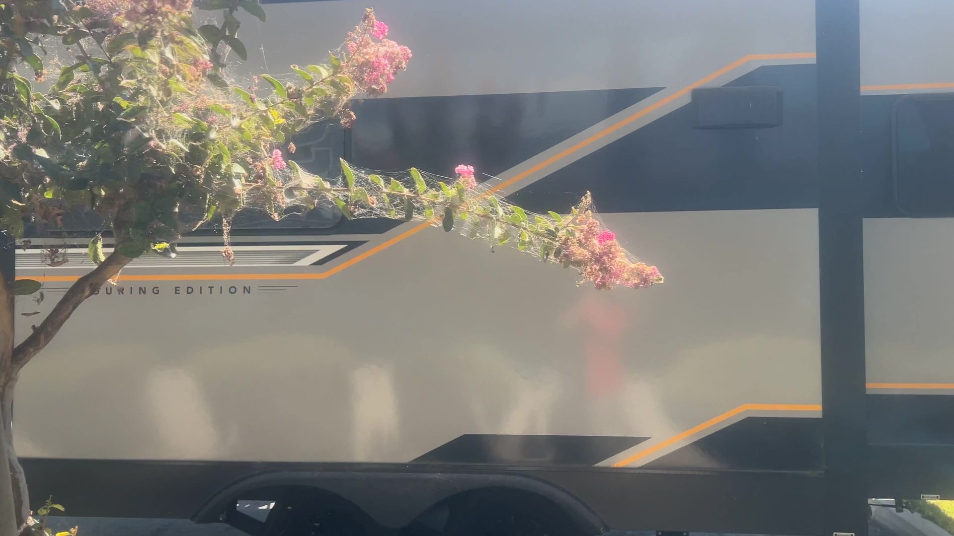 2027 Ember RV Touring Edition 2300MLL - Image 3