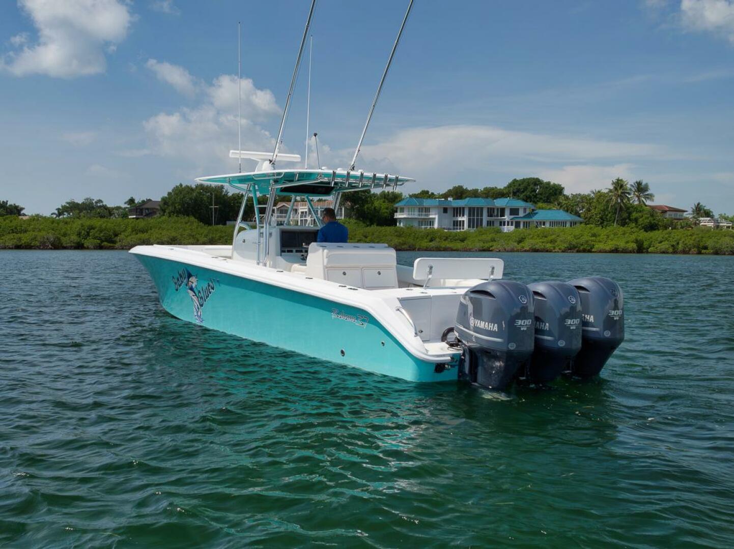2013 Bahama - Image 16