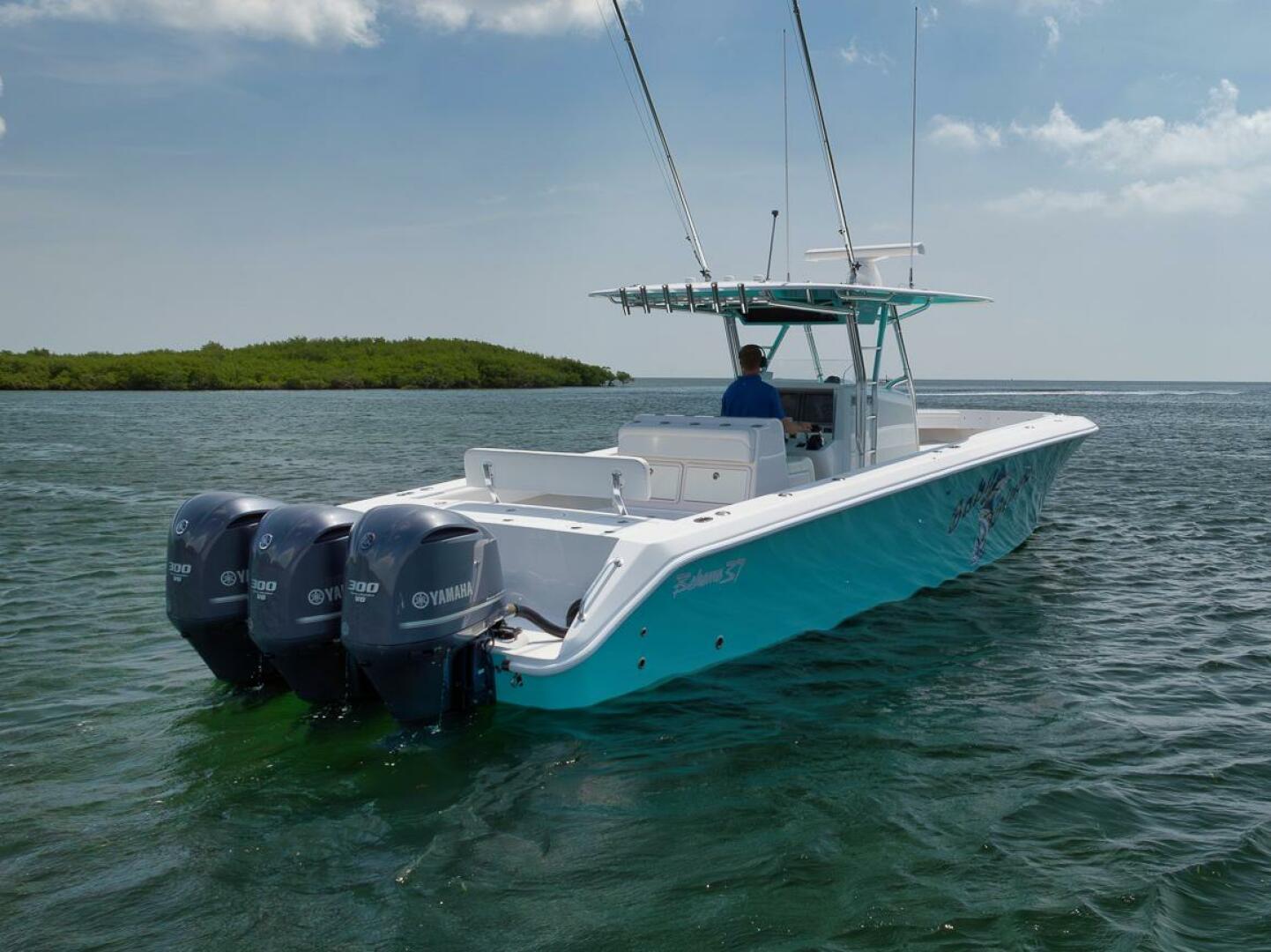 2013 Bahama - Image 21
