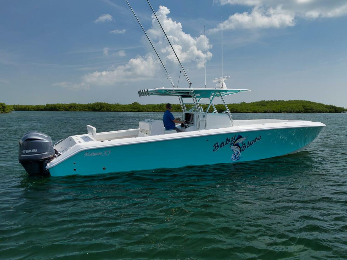 2013 Bahama - Image 20