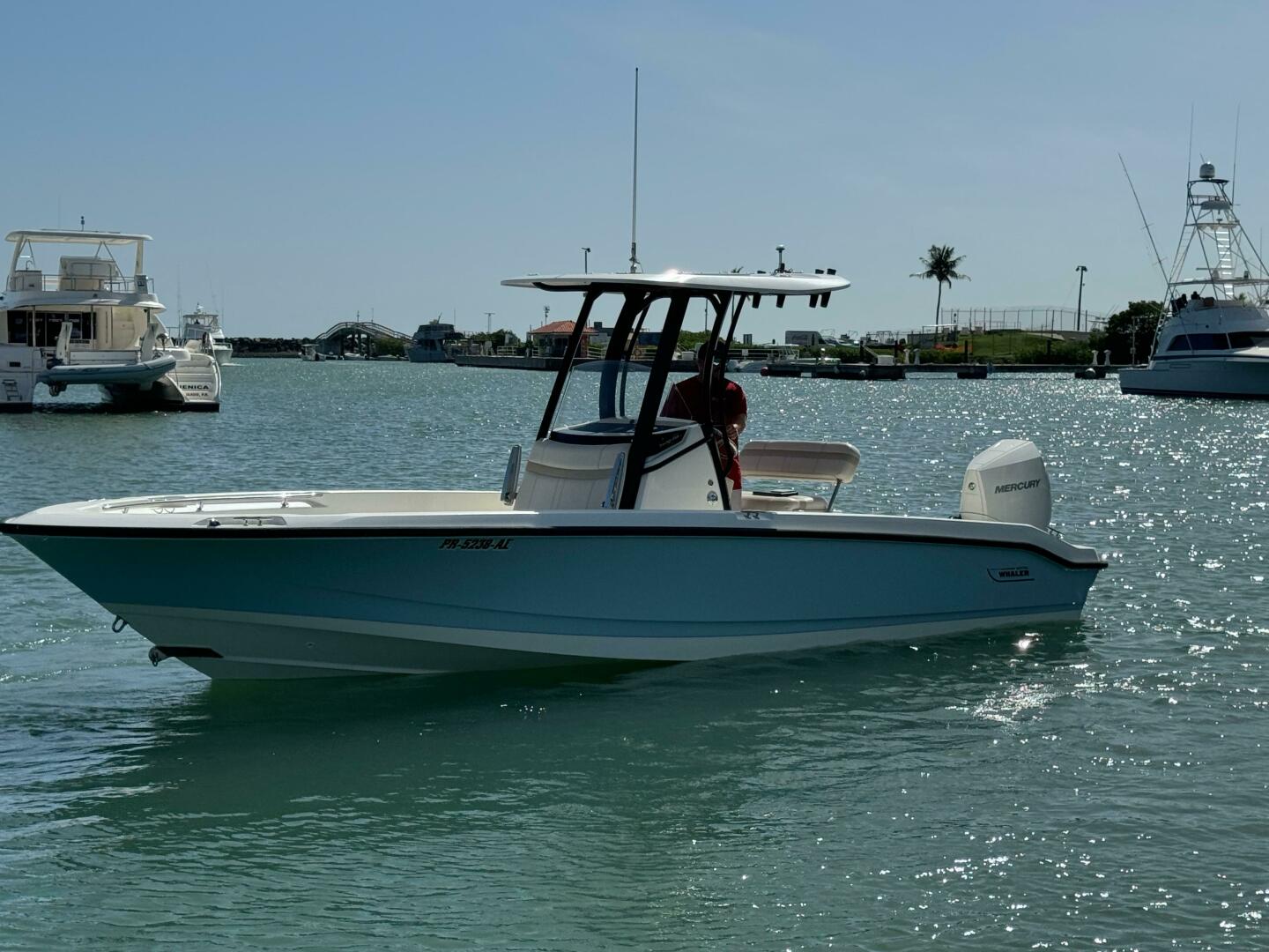 2022 Boston Whaler 250 DAUNTLESS Base - Image 11