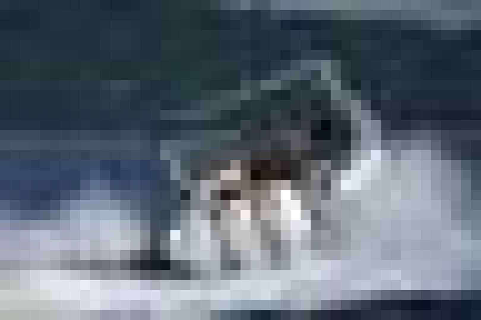 2020 Caymas 341 CC - Image 15