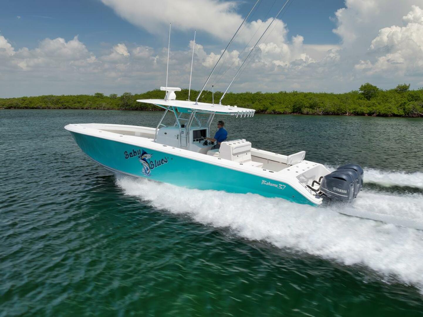 2013 Bahama - Image 5