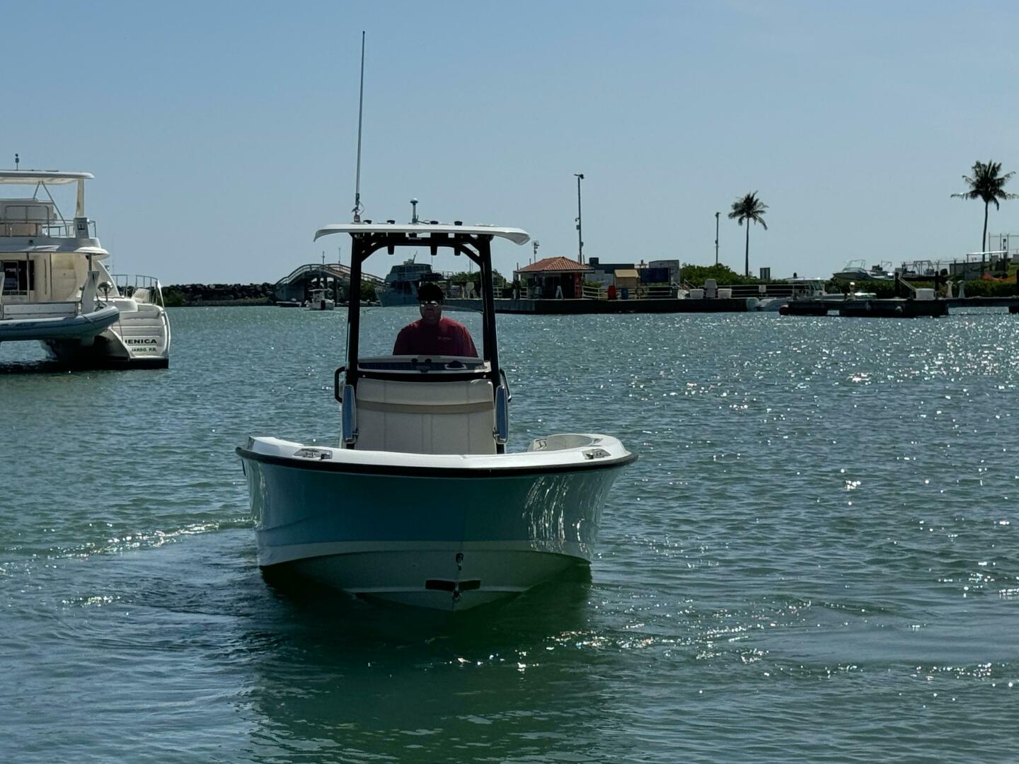 2022 Boston Whaler 250 DAUNTLESS Base - Image 9
