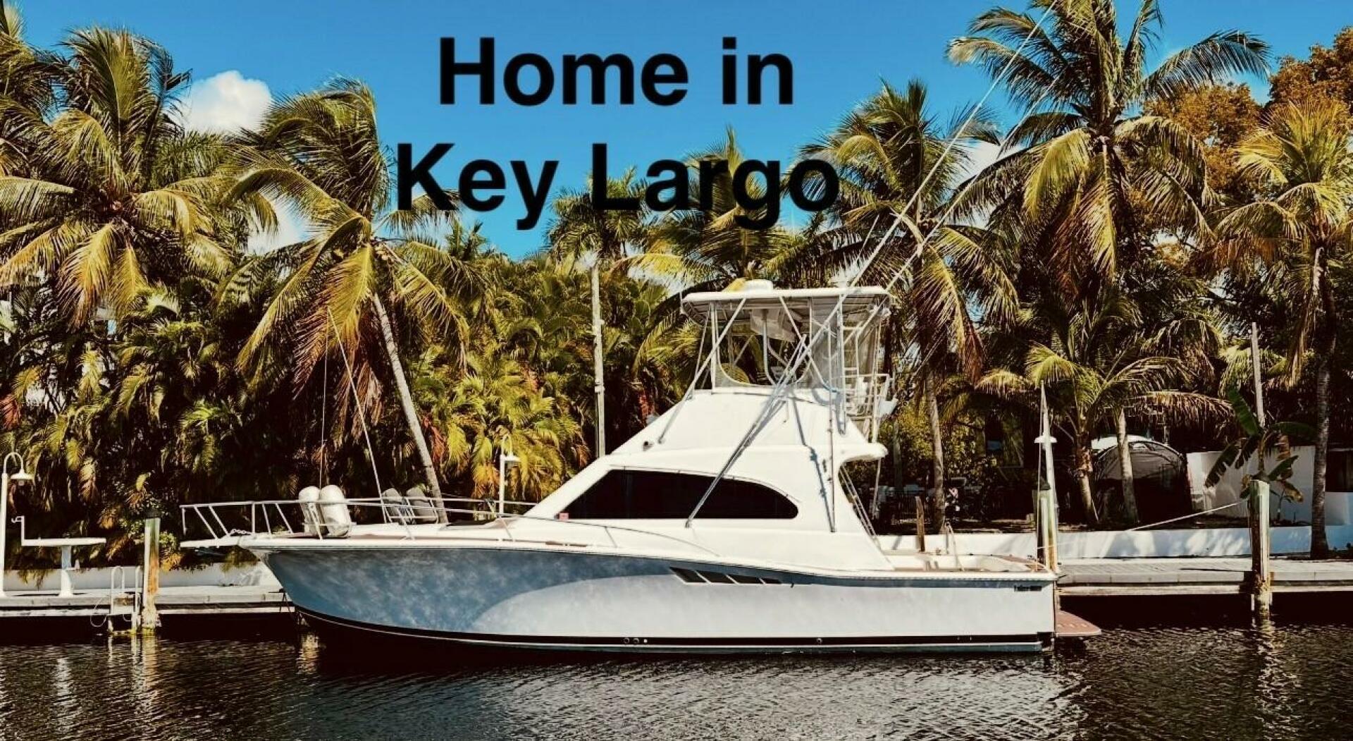 2001 Luhrs Convertible - Image 1