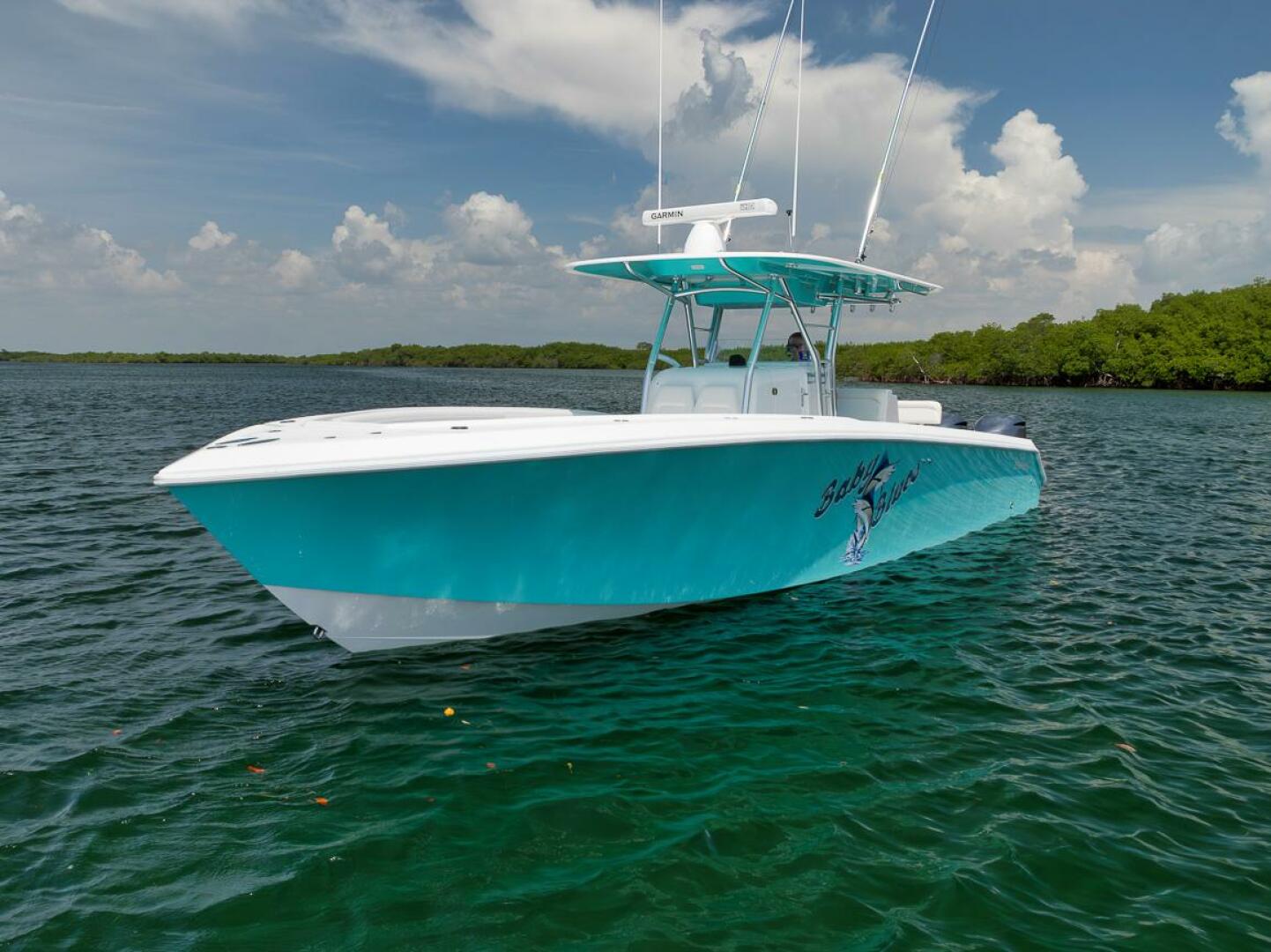 2013 Bahama - Image 14