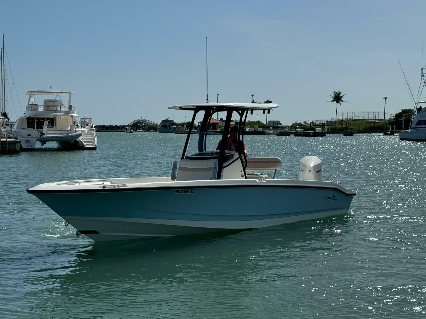 2022 Boston Whaler 250 DAUNTLESS Base - Image 10