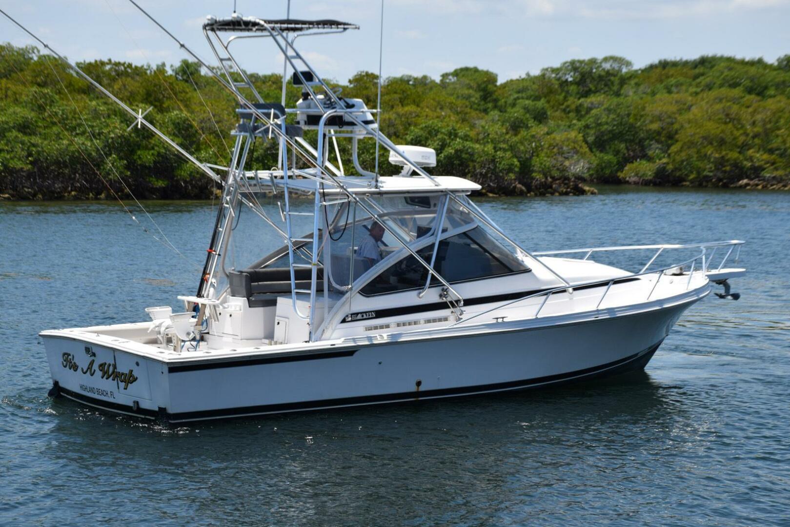 1995 Blackfin Combi 33 - Image 3