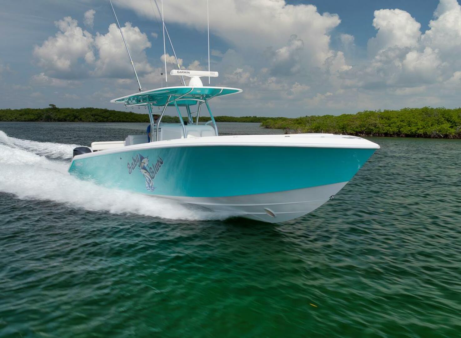 2013 Bahama - Image 28