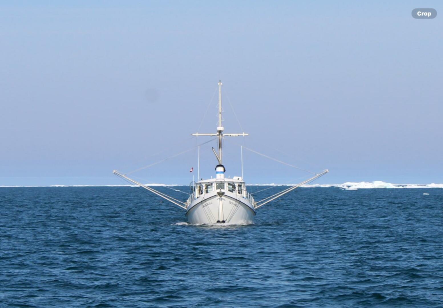 2006 Custom Sprague - Image 5