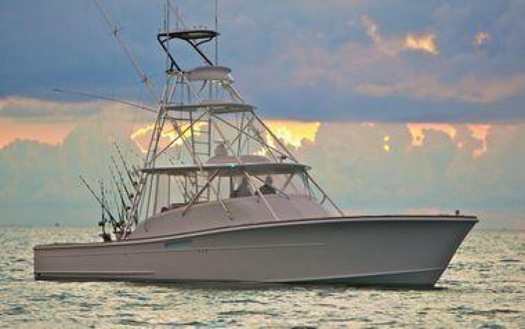 2014 Release 46 Custom Express Carolina - Image 3