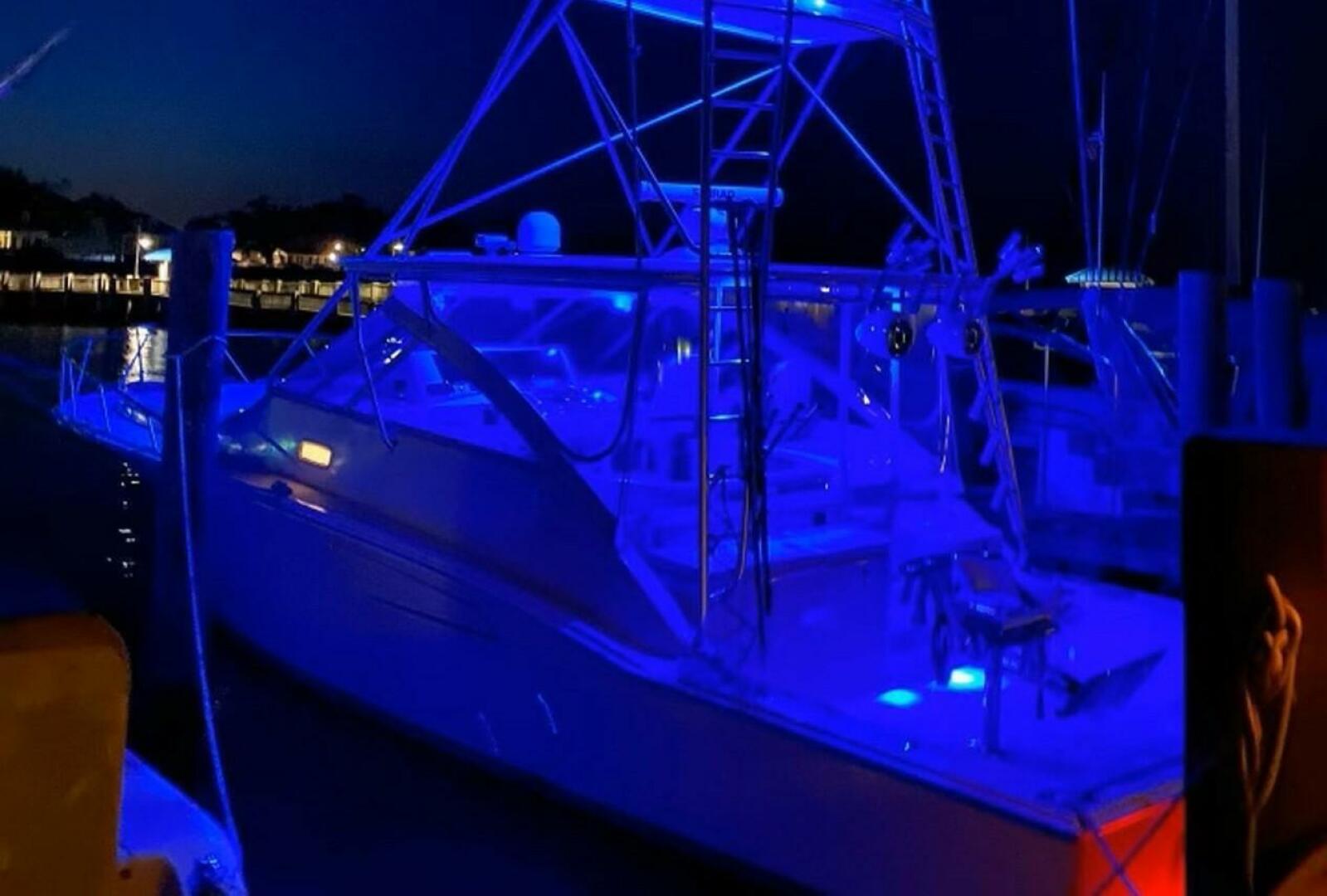 2005 Cabo Express - Image 10