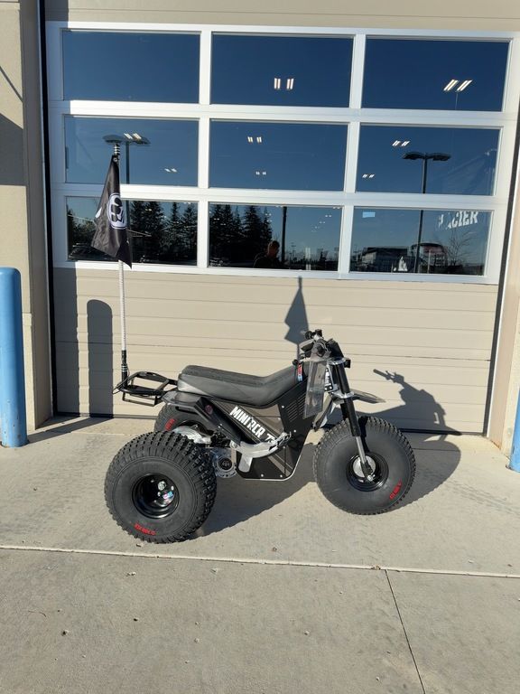 2026 Mini RCR T3 - Image 2