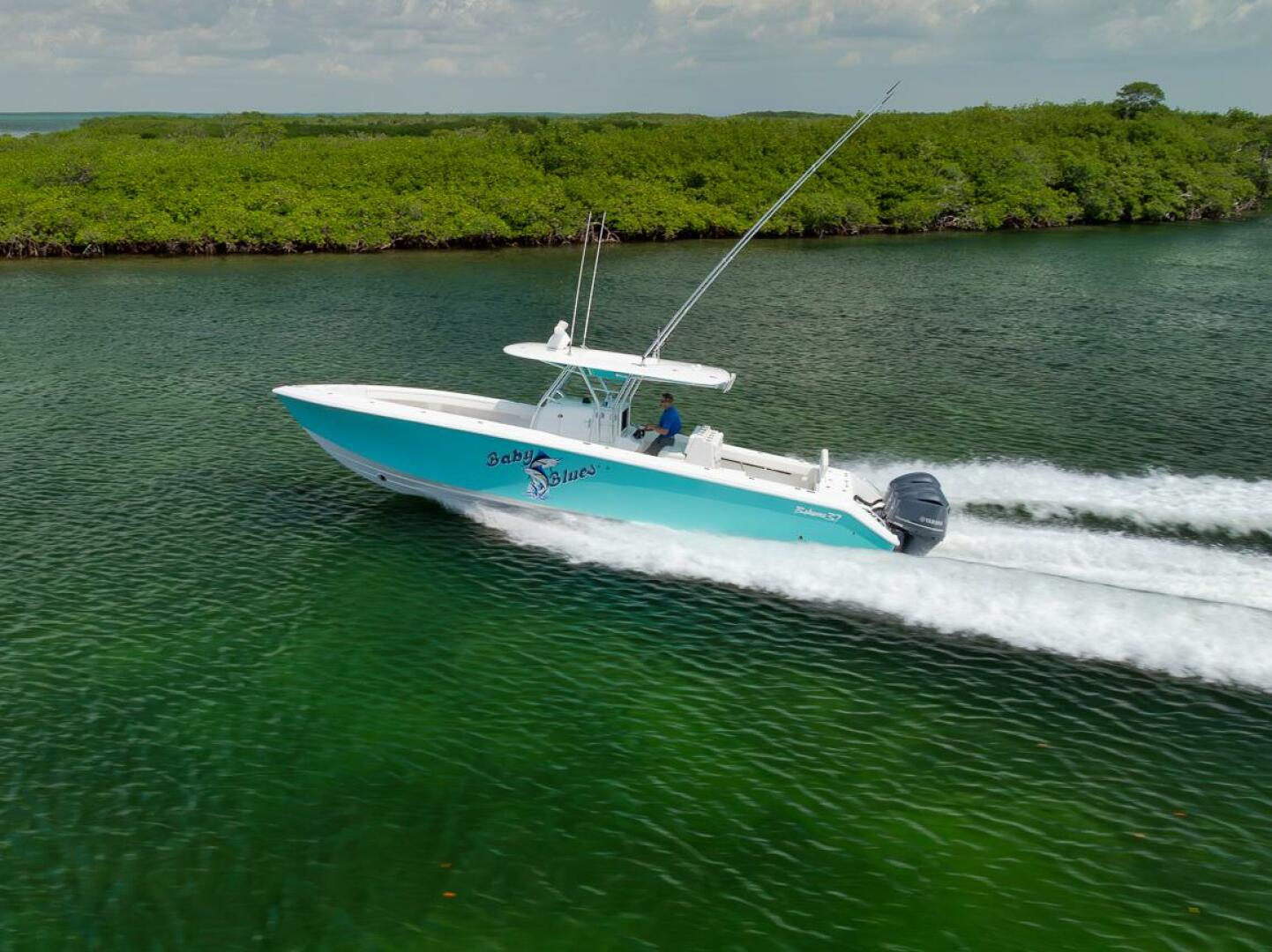 2013 Bahama - Image 2