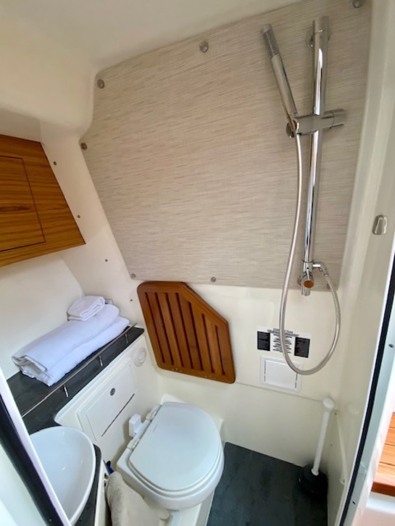 2020 Boston Whaler 380 Realm - Image 22