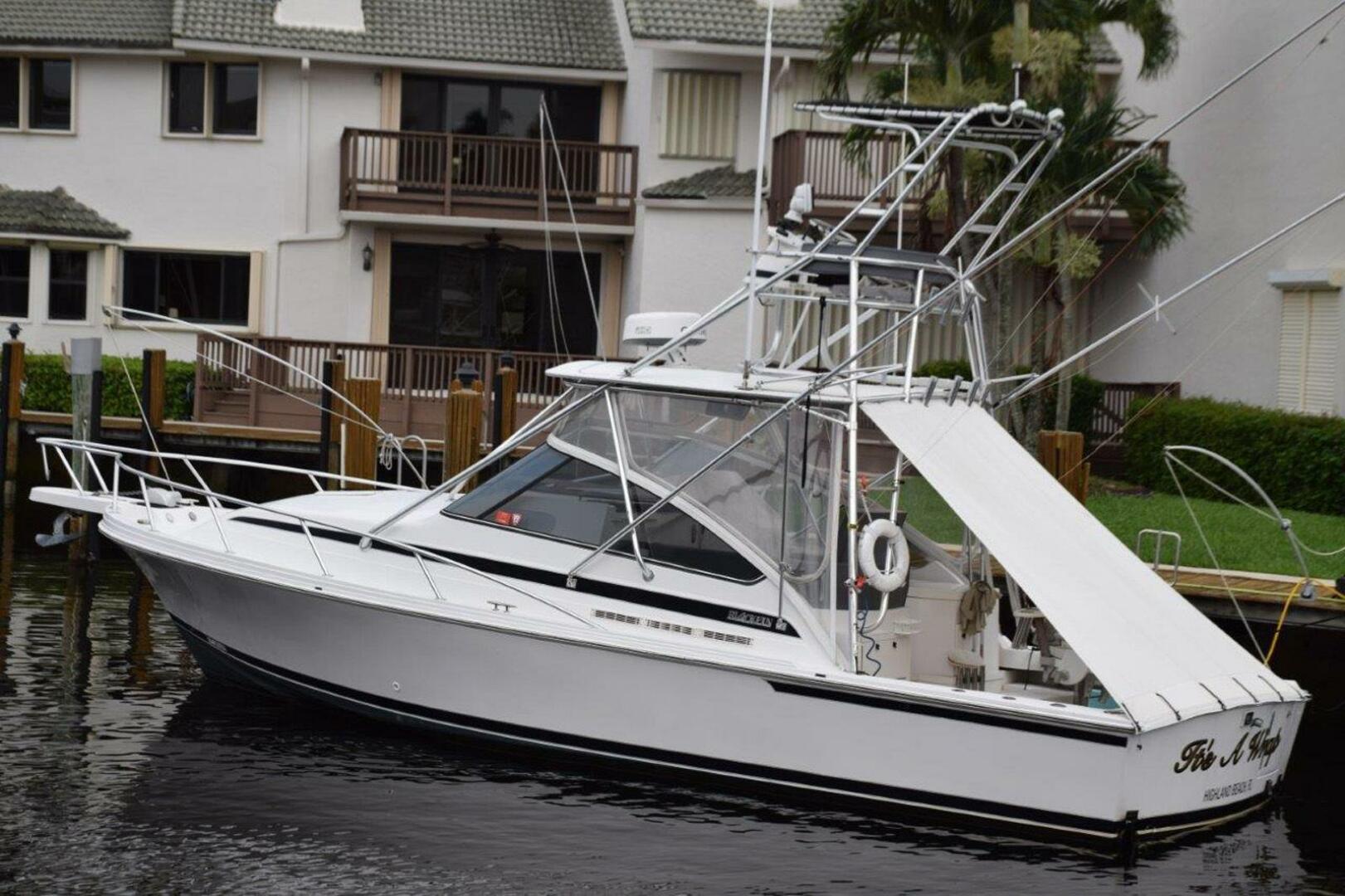 1995 Blackfin Combi 33 - Image 49