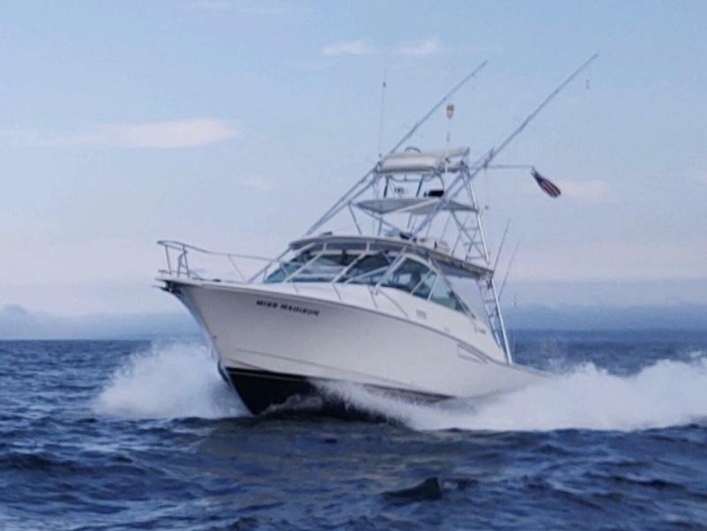2003 Cabo Express - Image 3