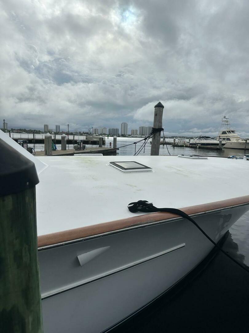 2001 Buddy Davis SPORTFISH - Image 30