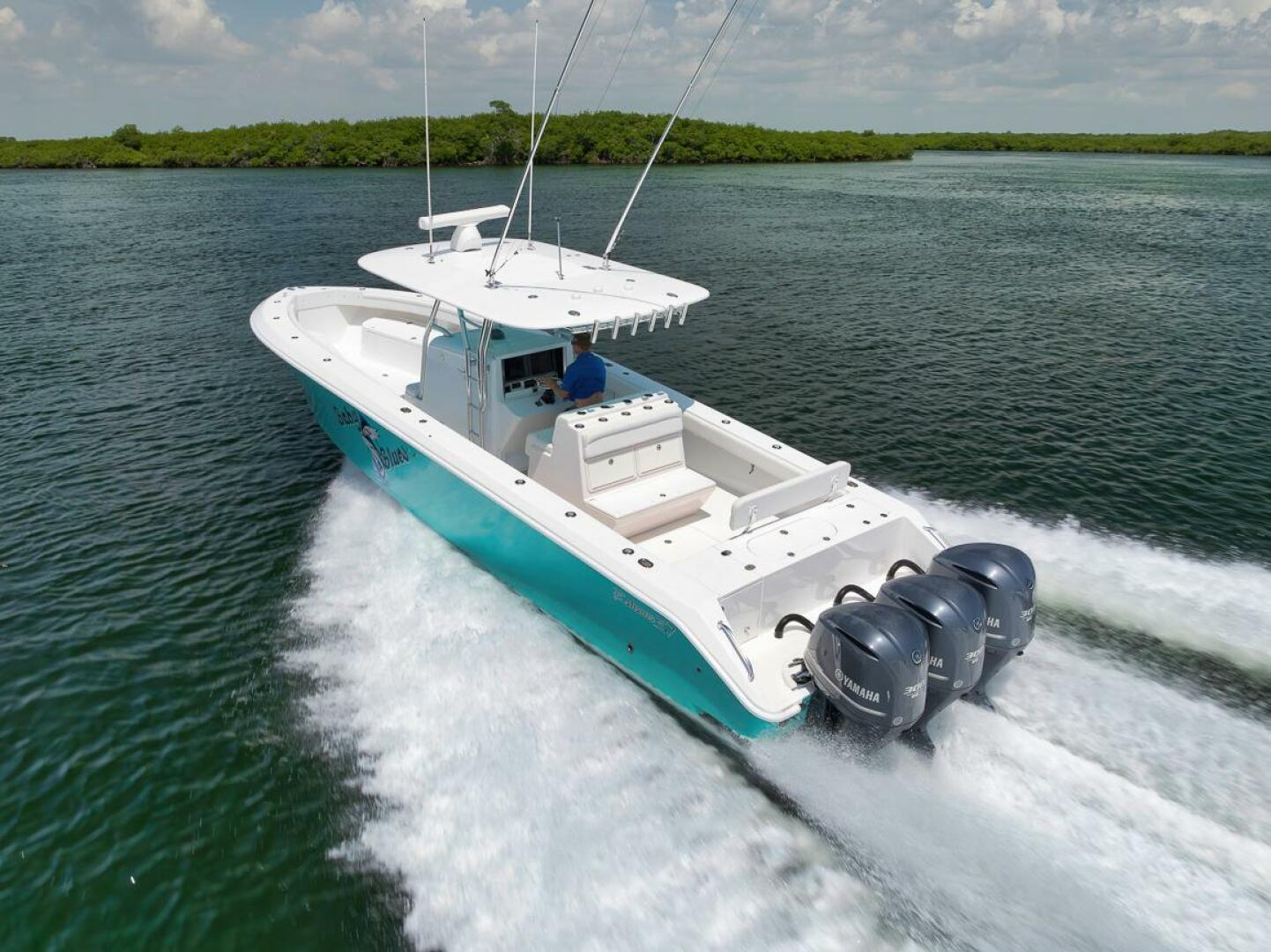 2013 Bahama - Image 6