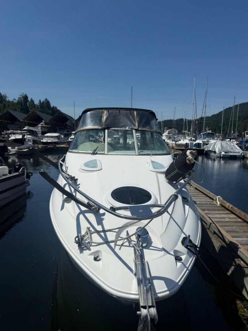2007 Campion Allante 825 - Image 2