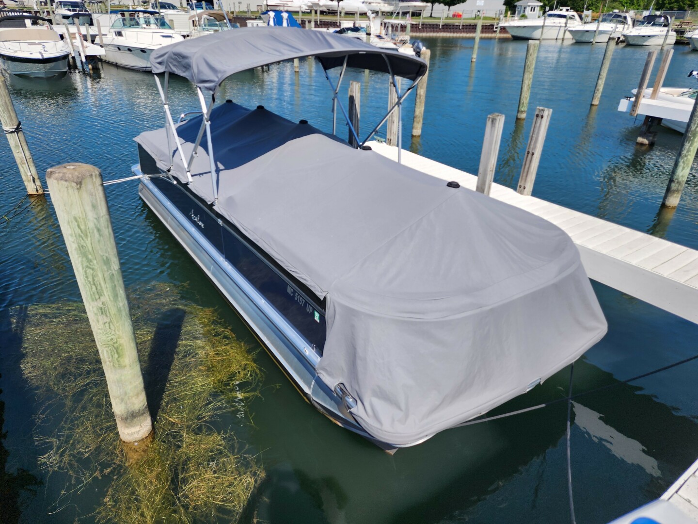 2021 Avalon - Image 1