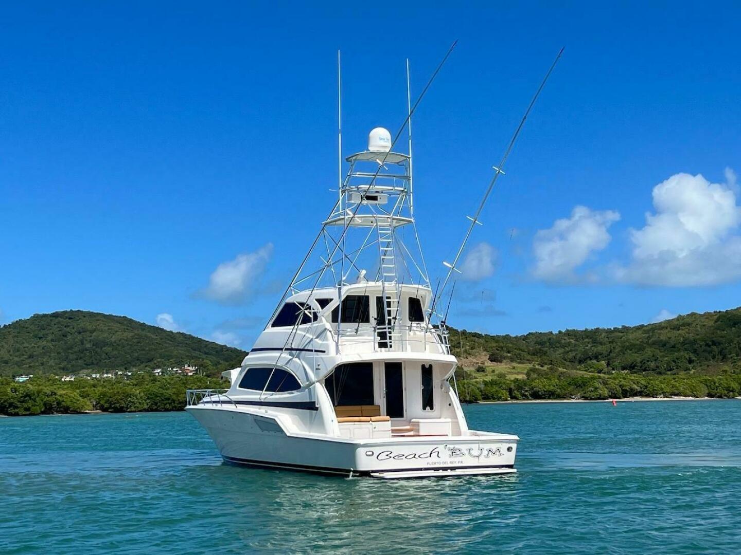 2004 Bertram 67 - Image 6