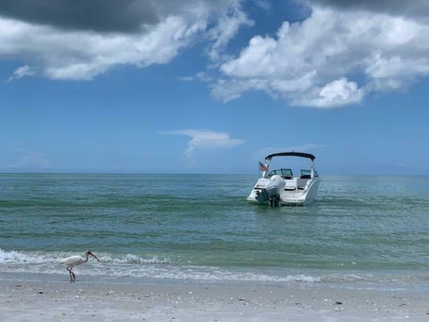 2019 Sea Ray SDX 270 Outboard - Image 2