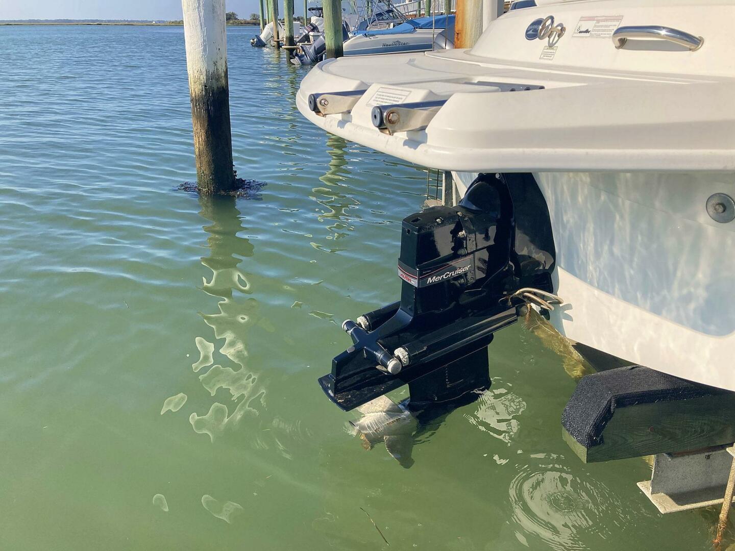 2012 Sea Ray 190 Sport - Image 10